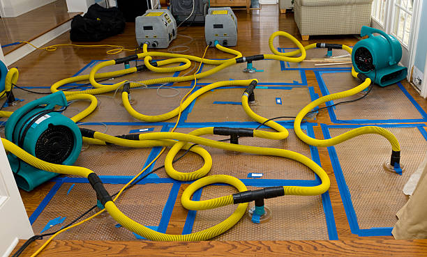 Professional Crawl Space Water Removal technician working in McLeansville, NC